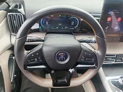 2024 BYD Song Pro Glory DM-i PHEV 110km Excellence — фото 11
