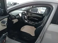 2022 BYD Yuan PLUS EV 430km Premium, белый — фото 16