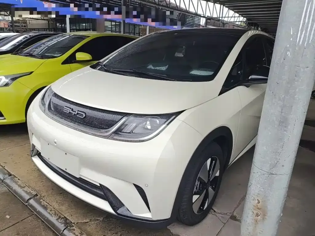 2023 BYD Dolphin 420km Fashion