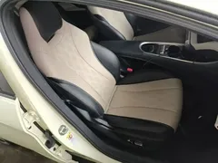 2023 BYD Dolphin 420km Fashion — фото 25