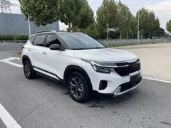 2023 Kia Seltos 1.5L CVT Luxury, белый — фото 1