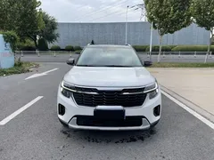2023 Kia Seltos 1.5L CVT Luxury, белый — фото 2