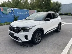 2023 Kia Seltos 1.5L CVT Luxury, белый — фото 3