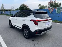 2023 Kia Seltos 1.5L CVT Luxury, белый — фото 6