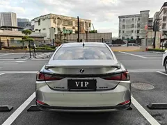 2020 Lexus ES 300h Excellence — фото 8