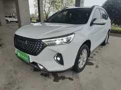 2021 Haval M6 Plus 1.5T DCT Luxury, белый — фото 2