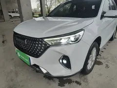 2021 Haval M6 Plus 1.5T DCT Luxury, белый — фото 24
