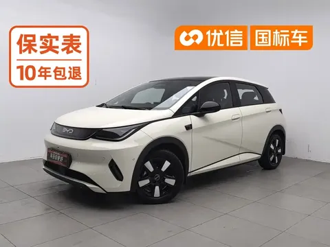 2025 BYD Dolphin Smart Driving 410km Fashion