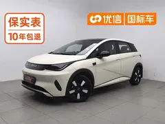2025 BYD Dolphin Smart Driving 410km Fashion, белый — фото 1