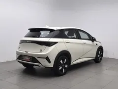 2025 BYD Dolphin Smart Driving 410km Fashion, белый — фото 2