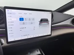 2025 BYD Dolphin Smart Driving 410km Fashion, белый — фото 21