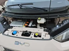 2025 BYD Seagull 305km Vitality — фото 10