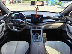 2023 BYD Qin PLUS Champion DM-i PHEV 55KM Leading — фото 7