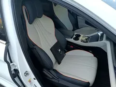 2024 BYD Song PLUS EV 520km Luxury Honor Edition, белый — фото 25