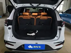 2023 BYD Tang DM-i PHEV Champion 112km Premium, белый — фото 4