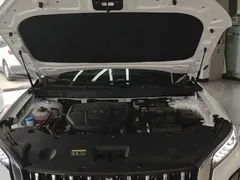 2023 Hongqi HS5 2.0T 4WD Qixiang Pro, белый — фото 20