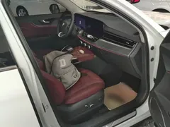 2023 Hongqi HS5 2.0T 4WD Qixiang Pro, белый — фото 25