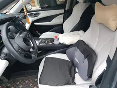 2025 BYD Seal 05 PHEV DM-i Smart Drive 55km Luxury, синий — фото 11