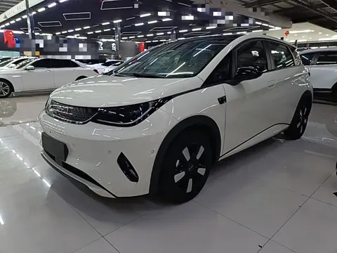 2025 BYD Dolphin Smart Driving 410km Fashion