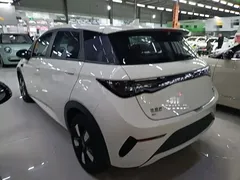 2025 BYD Dolphin Smart Driving 410km Fashion — фото 5