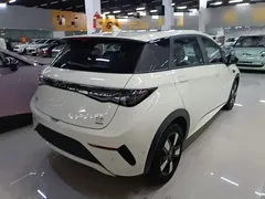 2025 BYD Dolphin Smart Driving 410km Fashion — фото 7