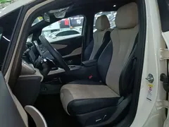 2025 BYD Dolphin Smart Driving 410km Fashion — фото 15