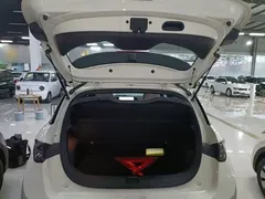 2025 BYD Dolphin Smart Driving 410km Fashion — фото 19