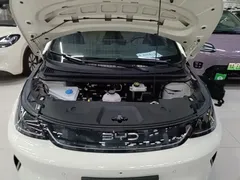 2025 BYD Dolphin Smart Driving 410km Fashion — фото 20