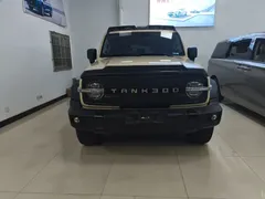 2021 Tank 300 Off-road 2.0T Conqueror — фото 1