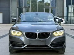 2019 BMW 2 Series 225i Convertible Sport Design Package — фото 2
