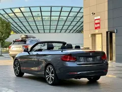 2019 BMW 2 Series 225i Convertible Sport Design Package — фото 7