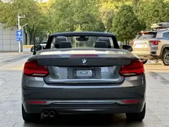 2019 BMW 2 Series 225i Convertible Sport Design Package — фото 8