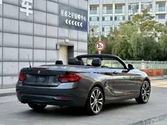 2019 BMW 2 Series 225i Convertible Sport Design Package — фото 9
