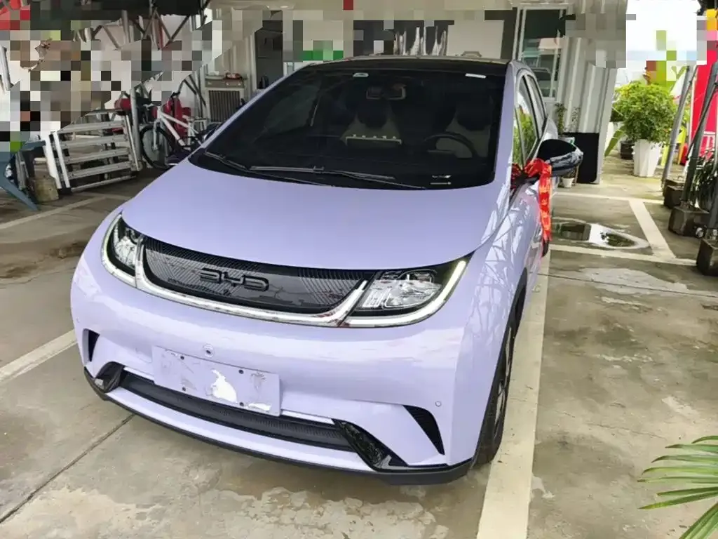 2023 BYD Dolphin 420km Fashion