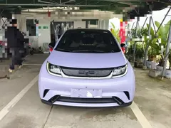 2023 BYD Dolphin 420km Fashion — фото 3