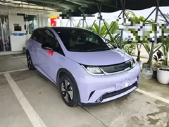 2023 BYD Dolphin 420km Fashion — фото 4