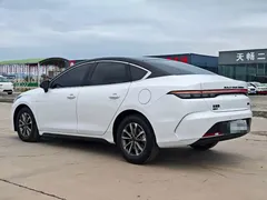 2024 BYD Destroyer 05 DM-i PHEV 55km Luxury, белый — фото 4