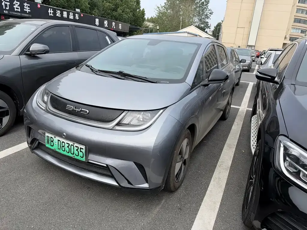 2023 BYD Dolphin 420km Freedom