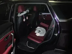 2023 Jetour X70 PLUS 1.5T MT PRO 7 — фото 11