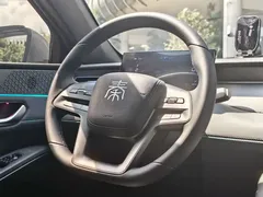 2025 BYD Qin PLUS DM-i PHEV Smart Driving 128km Advance — фото 19