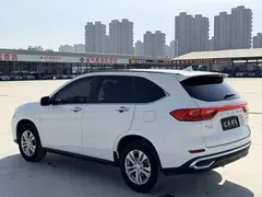 2023 Haval M6 Plus 1.5T DCT Elite, белый — фото 7