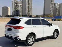 2023 Haval M6 Plus 1.5T DCT Elite, белый — фото 9