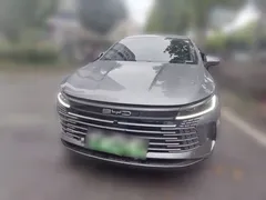 2024 BYD Destroyer 05 DM-i PHEV 55km Luxury — фото 2