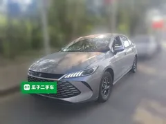 2025 BYD Qin PLUS DM-i PHEV Smart Driving 55km Leading — фото 1