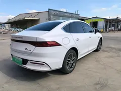 2021 BYD Qin PLUS DM-i PHEV 55km Flagship, белый — фото 8