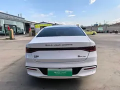 2021 BYD Qin PLUS DM-i PHEV 55km Flagship, белый — фото 10