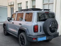 2023 Tank 300 Off-road 2.0T Conqueror — фото 7