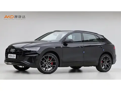 2022 Audi Q8 3.0T 55 TFSI Snow Sport Edition