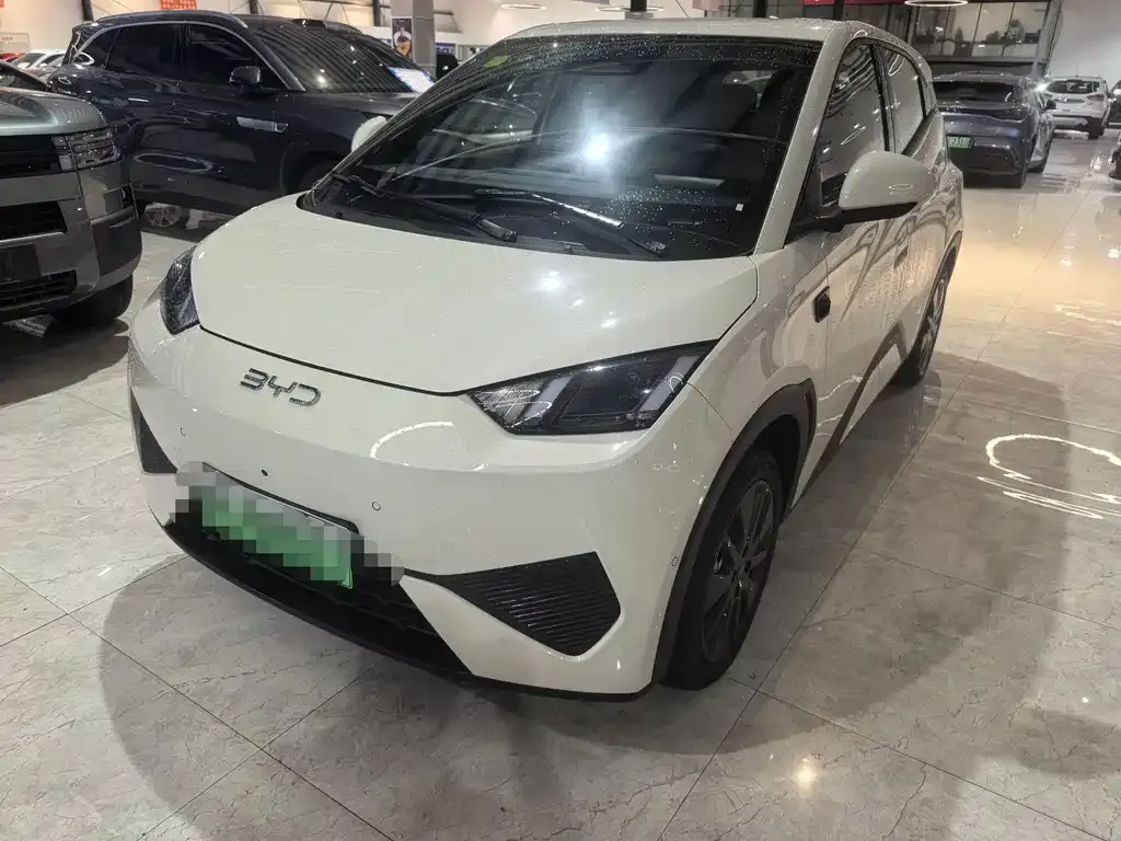 2026 BYD Seagull 305km Freedom