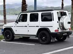 2020 Mercedes-Benz G-Class G 350, белый — фото 9